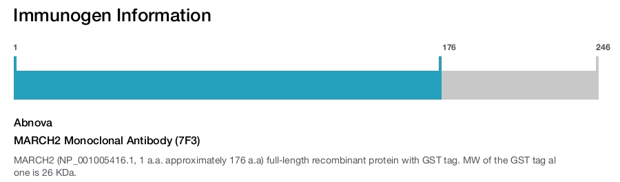 MARCH2 Monoclonal Antibody (7F3)