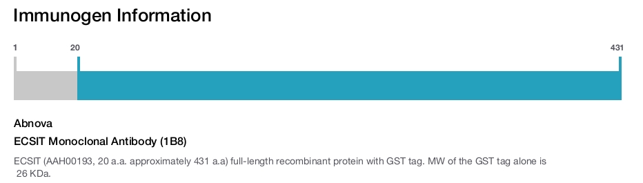ECSIT Monoclonal Antibody (1B8)