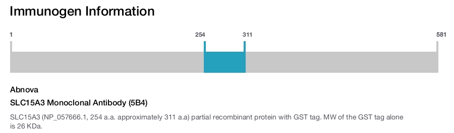 SLC15A3 Monoclonal Antibody (5B4)