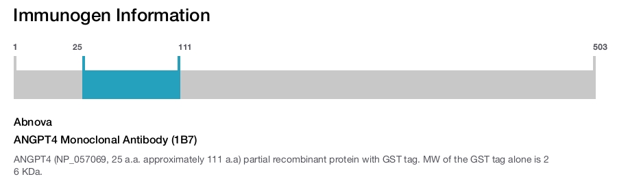 ANGPT4 Monoclonal Antibody (1B7)