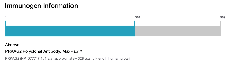 PRKAG2 Polyclonal Antibody, MaxPab™