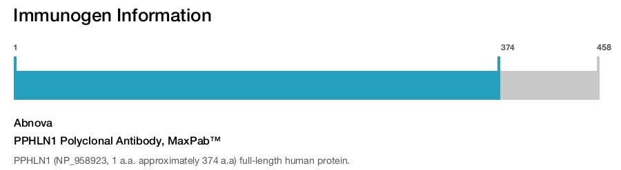 PPHLN1 Polyclonal Antibody, MaxPab™