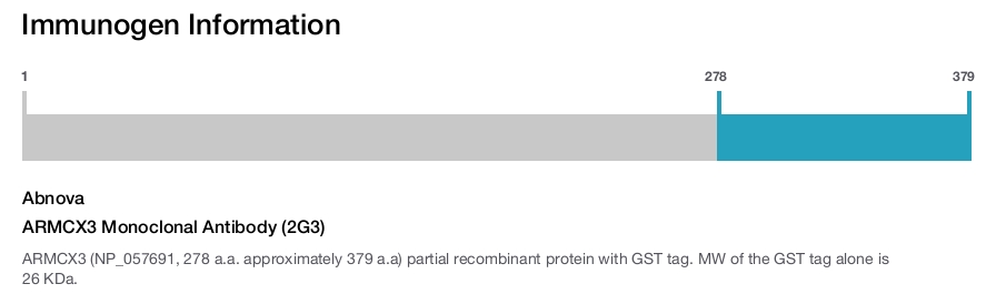 ARMCX3 Monoclonal Antibody (2G3)
