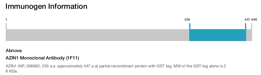 AZIN1 Monoclonal Antibody (1F11)
