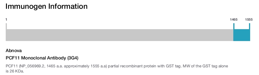 PCF11 Monoclonal Antibody (3G4)