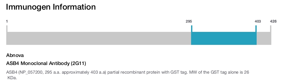 ASB4 Monoclonal Antibody (2G11)