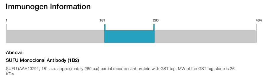 SUFU Monoclonal Antibody (1B2)