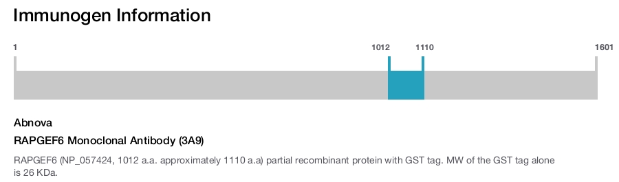 RAPGEF6 Monoclonal Antibody (3A9)