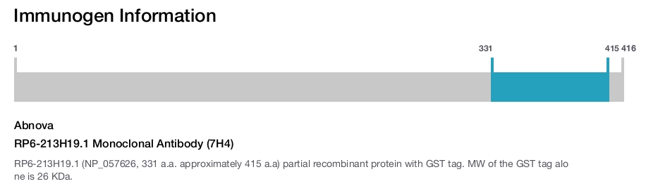 RP6-213H19.1 Monoclonal Antibody (7H4)