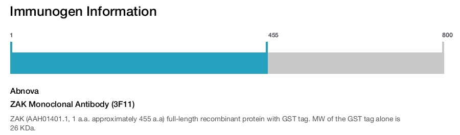 ZAK Monoclonal Antibody (3F11)