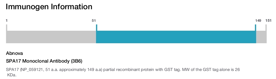 SPA17 Monoclonal Antibody (3B6)