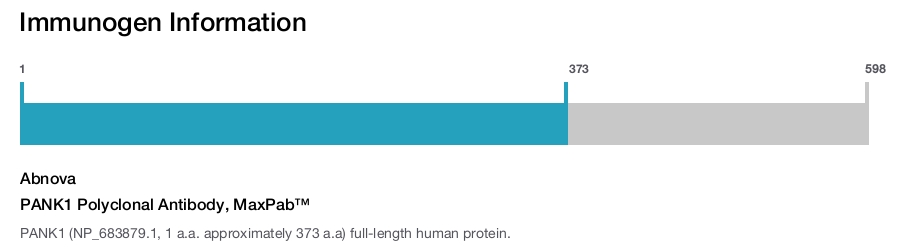 PANK1 Polyclonal Antibody, MaxPab™