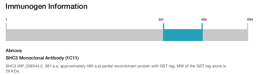 SHC3 Monoclonal Antibody (1C11)