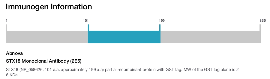 STX18 Monoclonal Antibody (2E5)