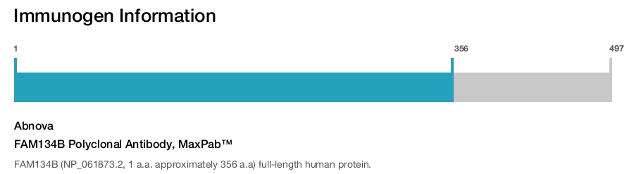 FAM134B Polyclonal Antibody, MaxPab™