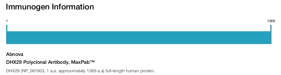 DHX29 Polyclonal Antibody, MaxPab™