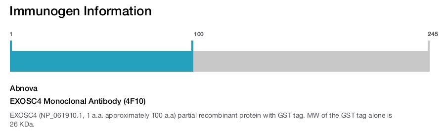 EXOSC4 Monoclonal Antibody (4F10)