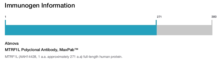 MTRF1L Polyclonal Antibody, MaxPab™