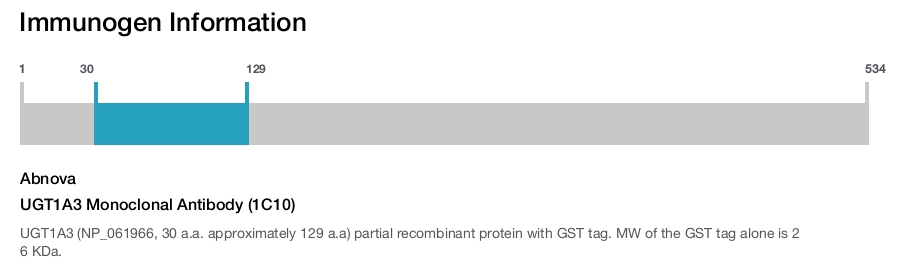 UGT1A3 Monoclonal Antibody (1C10)
