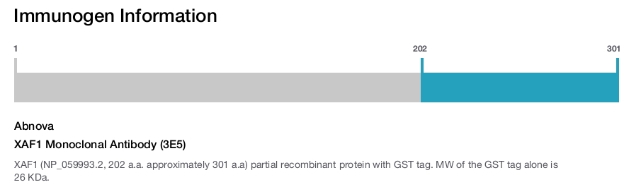 XAF1 Monoclonal Antibody (3E5)