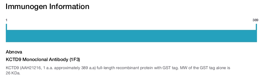 KCTD9 Monoclonal Antibody (1F3)
