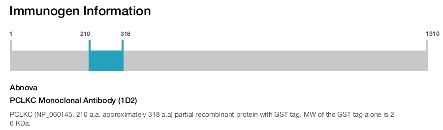 PCLKC Monoclonal Antibody (1D2)