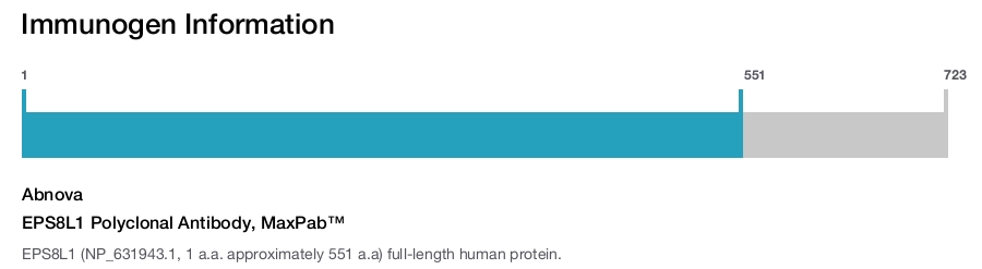 EPS8L1 Polyclonal Antibody, MaxPab™