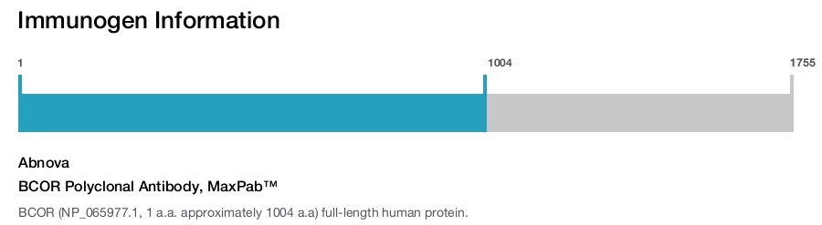 BCOR Polyclonal Antibody, MaxPab™