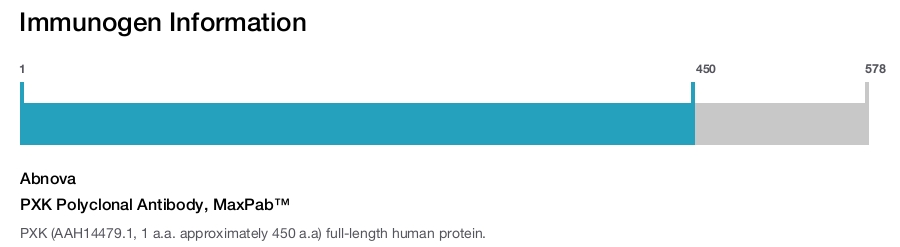 PXK Polyclonal Antibody, MaxPab™