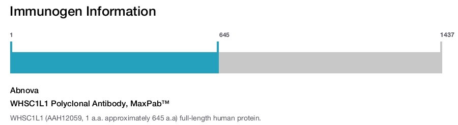 WHSC1L1 Polyclonal Antibody, MaxPab™