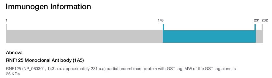 RNF125 Monoclonal Antibody (1A5)