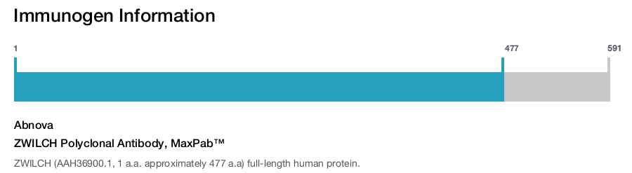 ZWILCH Polyclonal Antibody, MaxPab™
