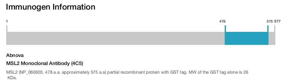 MSL2 Monoclonal Antibody (4C5)