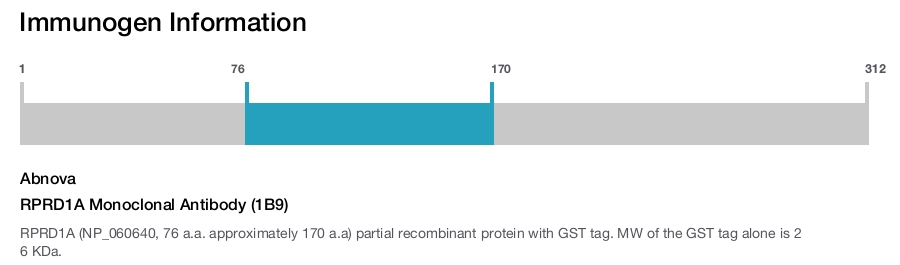 RPRD1A Monoclonal Antibody (1B9)
