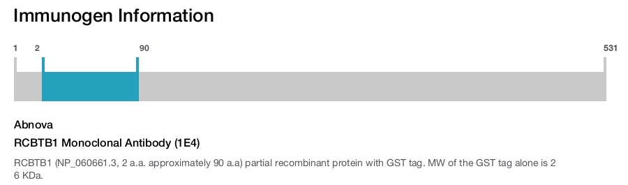RCBTB1 Monoclonal Antibody (1E4)