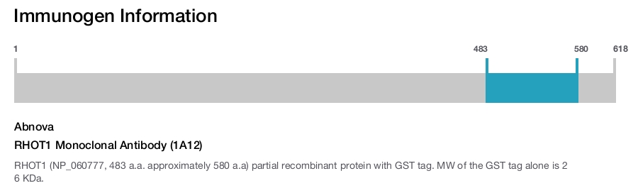 RHOT1 Monoclonal Antibody (1A12)