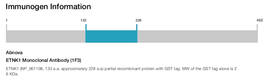 ETNK1 Monoclonal Antibody (1F3)