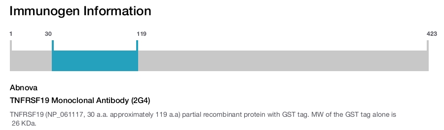TNFRSF19 Monoclonal Antibody (2G4)