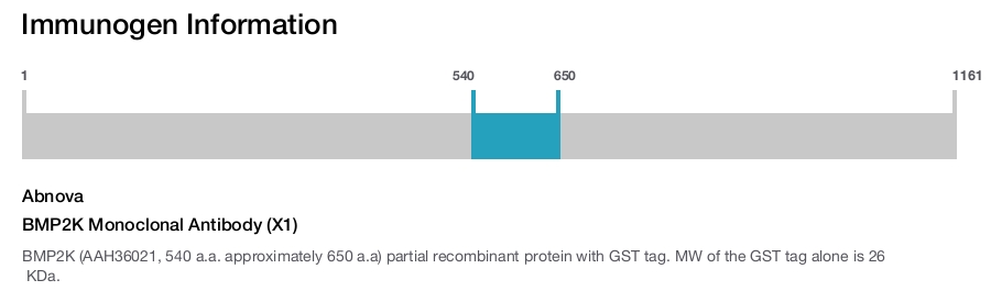 BMP2K Monoclonal Antibody (X1)