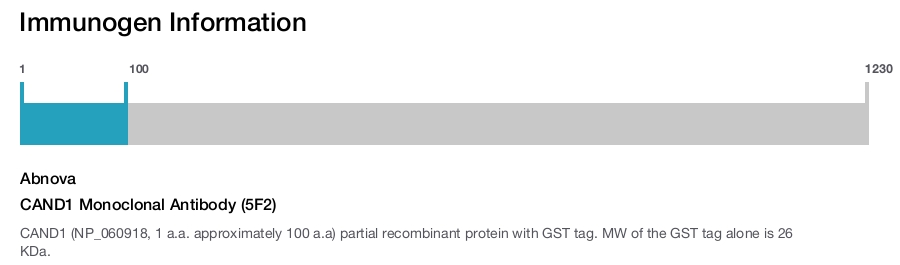 CAND1 Monoclonal Antibody (5F2)