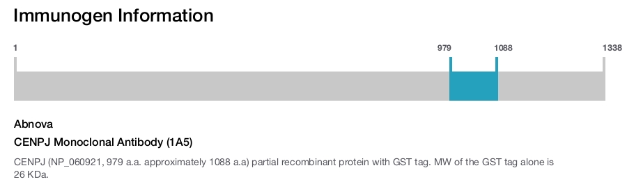CENPJ Monoclonal Antibody (1A5)