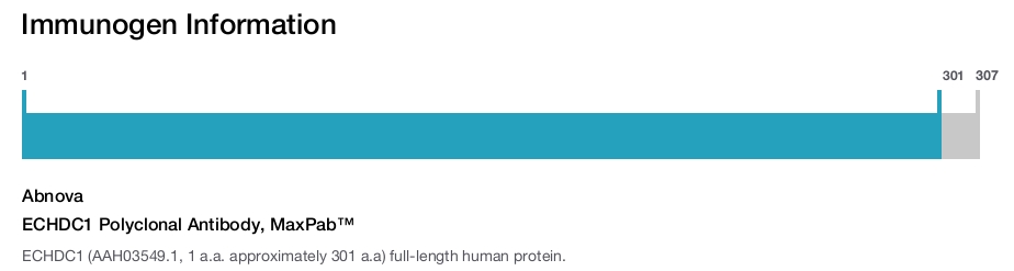ECHDC1 Polyclonal Antibody, MaxPab™