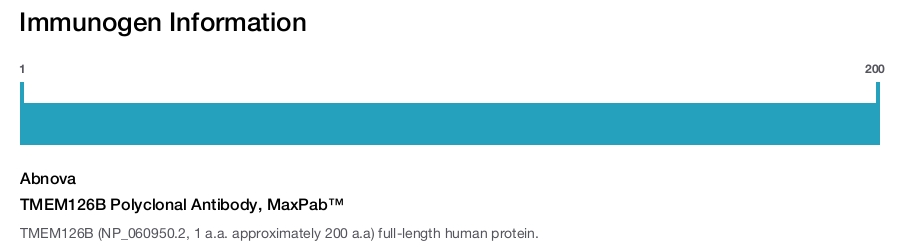 TMEM126B Polyclonal Antibody, MaxPab™