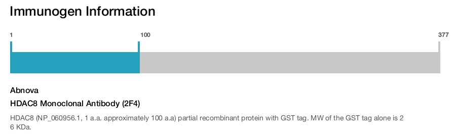 HDAC8 Monoclonal Antibody (2F4)