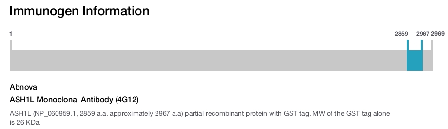 ASH1L Monoclonal Antibody (4G12)