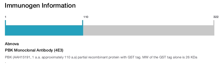 PBK Monoclonal Antibody (4E3)