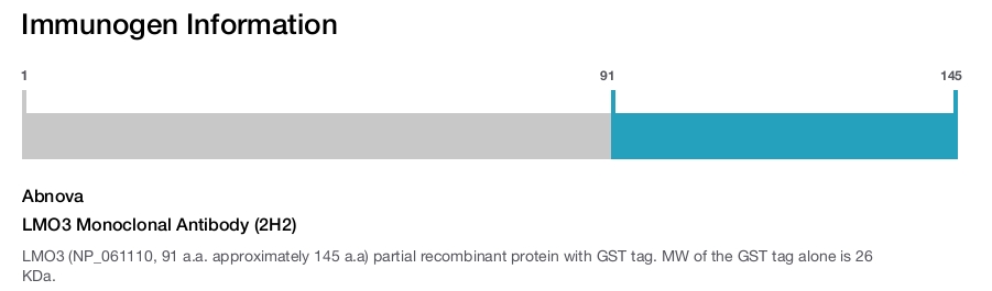 LMO3 Monoclonal Antibody (2H2)