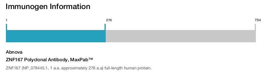 ZNF167 Polyclonal Antibody, MaxPab™