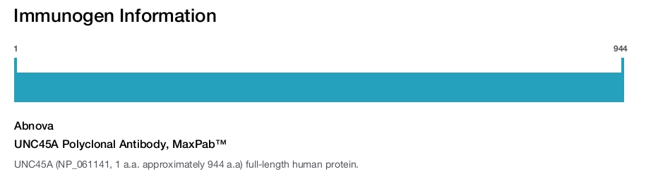 UNC45A Polyclonal Antibody, MaxPab&trade;