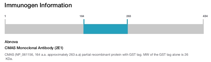 CMAS Monoclonal Antibody (2E1)